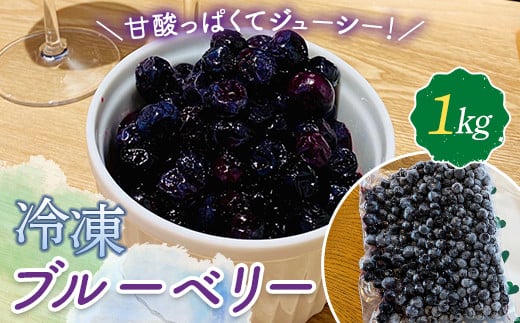 山田農園 冷凍ブルーベリー 1kg 国産 無農薬 有機栽培  果物 フルーツ 冷凍フルーツ 千葉県 睦沢町 F22G-213