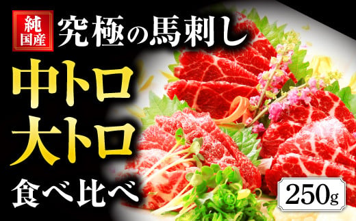 国産 熊本 馬刺し 霜降り中トロ・大トロ食べ比べセット