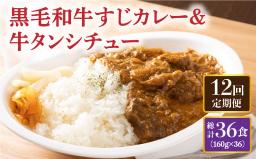 黒毛和牛 カレー かれー 牛すじカレー 牛スジカレー 牛タン 牛たん シチュー レトルト 簡単 常温 定期便