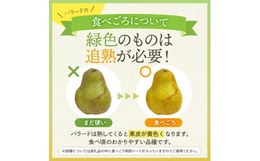 【令和6年産 先行予約】西洋梨バラード2kg　秀品　化粧箱入り 山形県 東根市 東根農産センター提供 hi027-138