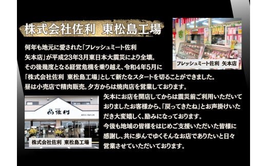 チャーシュー 極厚！手作りチャーシュー500g（500g×1P）3～4人前 焼豚 おつまみ ラーメン チャーハン 宮城県 東松島市 オンラインワンストップ 対応 自治体マイページ 佐利 AC