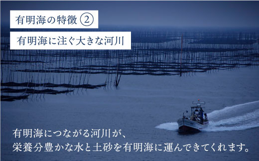 【テレビで紹介されました！】人気急上昇中の佐賀海苔「手塩をかけました」計50枚（5枚ずつ個包装）6回定期便 吉野ヶ里町[FBC014]