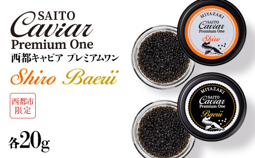 SAITO CAVIAR PREMIUM ONE SHIRO 20g・BAERII20g ＜7.5-12＞キャビア 西都市オリジナル