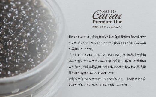 SAITO CAVIAR PREMIUM ONE SHIRO 20g・BAERII20g ＜7.5-12＞キャビア 西都市オリジナル