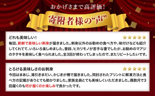 【偶数月 全６回 定期便】 魚問屋直送！氷見漁港で競り落としたお刺身詰め合わせセット 〈冷凍〉