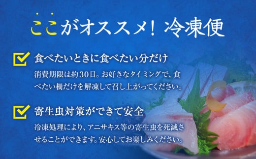 【偶数月 全６回 定期便】 魚問屋直送！氷見漁港で競り落としたお刺身詰め合わせセット 〈冷凍〉