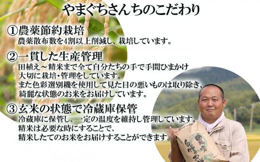 ＜ 予約 定期便 全6回 ＞ 北海道産 希少米 おぼろづき 白米 5kg ＜2025年10月より配送＞ 新米 お米 米 こめ 北海道米