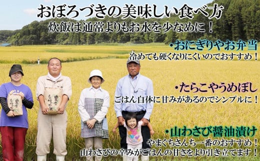 ＜ 予約 定期便 全6回 ＞ 北海道産 希少米 おぼろづき 白米 5kg ＜2025年10月より配送＞ 新米 お米 米 こめ 北海道米