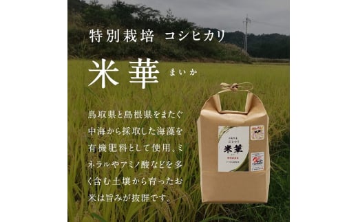 [№5667-0266]令和5年産 ノータス研究所 コシヒカリ2kg×2袋