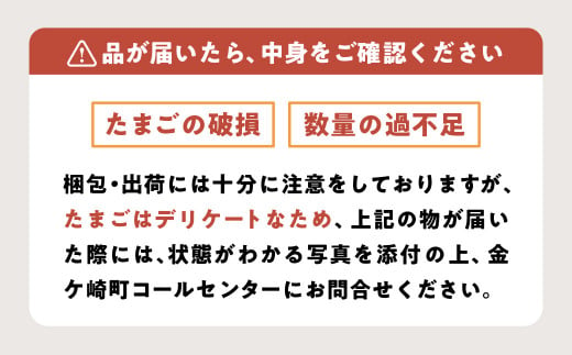 たまご 卵 6個入×12P MS 〜 LLサイズ 小分け 燦然 玉子 タマゴ 生たまご 生卵 生玉子 鶏卵 新鮮 お試し たまごかけご飯 岩手県 金ケ崎町 【9/25より発送開始】