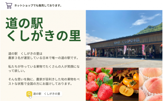 【先行予約】【数量わずか】あふれる果汁！ 希少な紅はっさく 秀品 5kg L～２L 2025年1月初旬～2025年3月末頃に順次発送予定（お届け日指定不可）/ ハッサク 八朔 紅八朔 紅はっさく フルーツ 柑橘 蜜柑 果物 くだもの【kgr006】