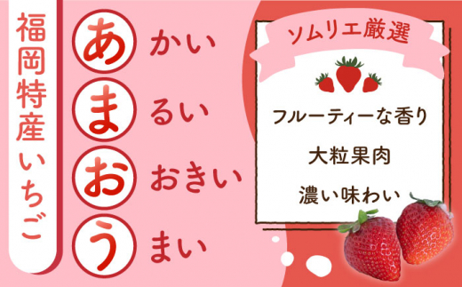 福岡産あまおうジャム180g×3個＜南国フルーツ株式会社＞那珂川市 [GCD019]