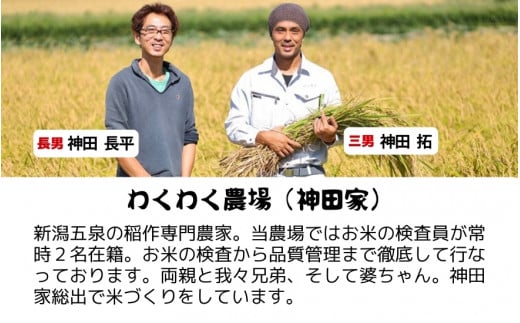 【令和6年産新米】 〈12回定期便〉 「わくわく農場」の五泉産 精米 新之助 10kg(5kg×2袋) 新潟県 五泉市 わくわく農場 ［2024年10月下旬以降順次発送］