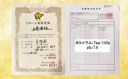 人生100年米（ピロール米） 2kg 令和5年産 【ピロール米 コシヒカリ 化学肥料不使用 農薬不使用】