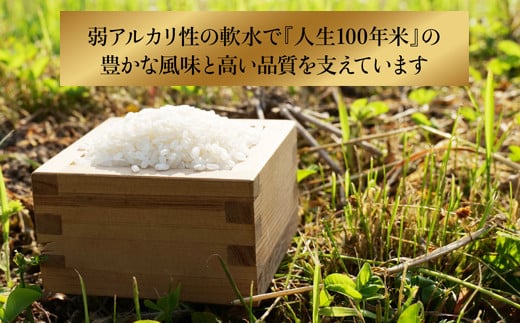 人生100年米（ピロール米） 2kg 令和5年産 【ピロール米 コシヒカリ 化学肥料不使用 農薬不使用】