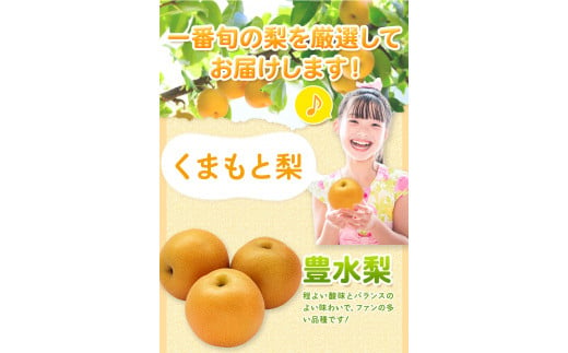 ＼数量限定在庫追加／ くまもと梨 訳あり 約4kg 熊本県産 くまもと梨 5玉～16玉前後 期間限定 フルーツ 予約 スイーツ 秋 旬 山江村 クール便 《8月末旬-10月中旬頃より出荷予定》 SDGs 梨 熊本県産  なし 梨 果物 くだもの デザート ギフト  ご贈答 訳あり 旬の果物 ナシ