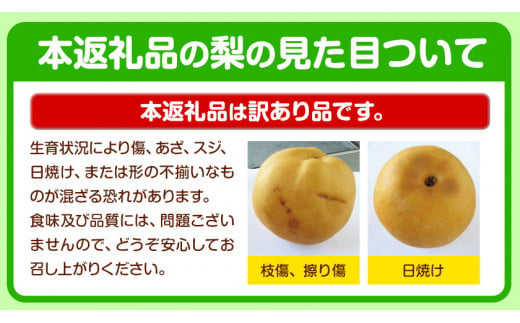 ＼数量限定在庫追加／ くまもと梨 訳あり 約4kg 熊本県産 くまもと梨 5玉～16玉前後 期間限定 フルーツ 予約 スイーツ 秋 旬 山江村 クール便 《8月末旬-10月中旬頃より出荷予定》 SDGs 梨 熊本県産  なし 梨 果物 くだもの デザート ギフト  ご贈答 訳あり 旬の果物 ナシ