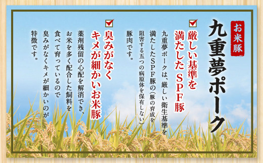 九重 夢ポーク (お米豚) 切り落とし 約5.5kg (約500g×11パック) 豚肉 豚