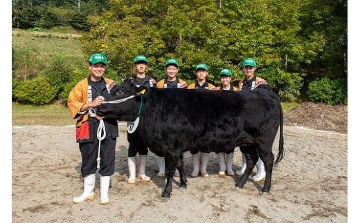 松阪牛 ロース 肩ロース すき焼き 500g 国産牛 和牛 ブランド牛 JGAP家畜・畜産物 農場HACCP認証農場 牛肉 肉 高級 人気 おすすめ 神戸牛 近江牛 に並ぶ 日本三大和牛 松阪 松坂牛 松坂 ギフト箱入り ギフト 贈答 三重県 多気町 SS-01