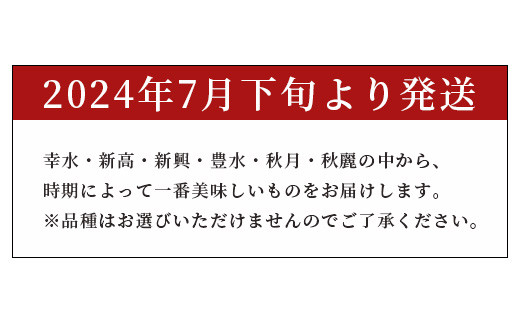 【2024年7月下旬発送開始】梨 約5kg