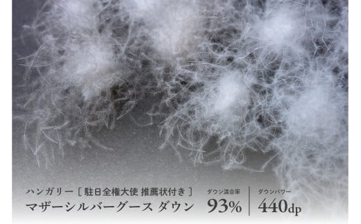 【富士新幸謹製】羽毛布団 二枚合わせ クイーン ハンガリーマザーシルバーグース ダウン93％※着日指定不可 ふるさと納税 寝具 ダウン 羽毛 ダウンケット かけ布団 掛け布団 ふとん 山梨県 道志村 送料無料 DSI045