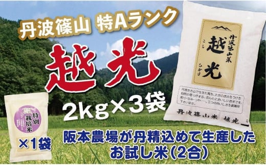 令和６年産　丹波篠山産　特Aランク　越　光　（２ｋｇ×３袋）