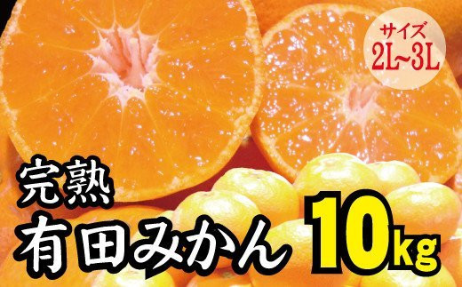 【2022年秋以降発送予約分】＼光センサー選別／ 【農家直送】完熟有田みかん 2L～3Lサイズ　約10kg  有機質肥料100%　※2022年11月上旬より順次発送予定（お届け日指定不可）【nuk106】