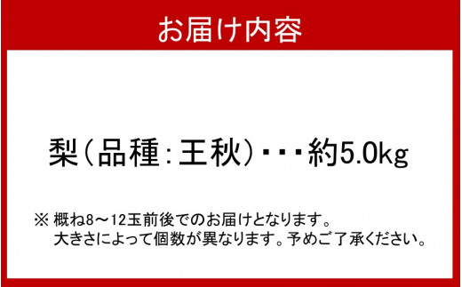 【先行予約】令和6年発送/SUNマルシェの梨『王秋』約5.0kg 8～12玉_2449R