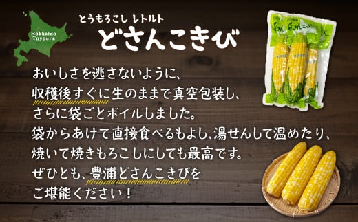 北海道産 とうもろこし 5本 どさんこきび  【ふるさと納税 人気 おすすめ ランキング 野菜 その他野菜 とうもろこし トウモロコシ 国産 加工食品 レトルト パウチ おいしい 美味しい 北海道 豊浦町 送料無料】 TYUO003