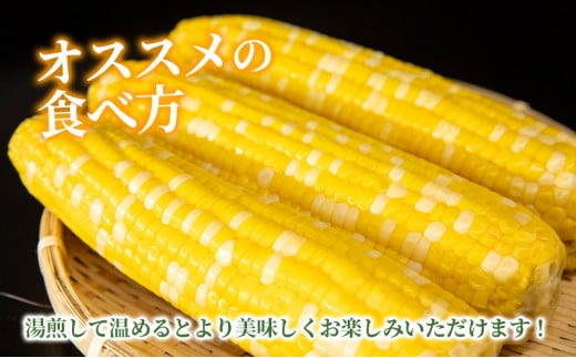 北海道産 とうもろこし 5本 どさんこきび  【ふるさと納税 人気 おすすめ ランキング 野菜 その他野菜 とうもろこし トウモロコシ 国産 加工食品 レトルト パウチ おいしい 美味しい 北海道 豊浦町 送料無料】 TYUO003