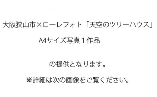 No.171 1－A4 大阪狭山市×ローレフォト 天空のツリーハウス ／ 絵画 A4サイズ 写真作品 大阪府