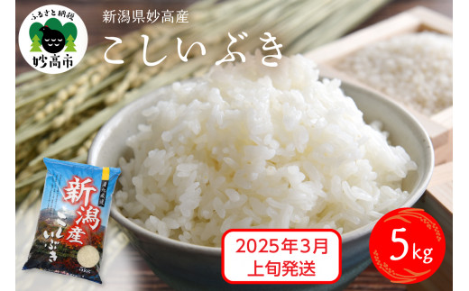 【2025年3月上旬発送】令和6年産 新潟県妙高産こしいぶき5kg