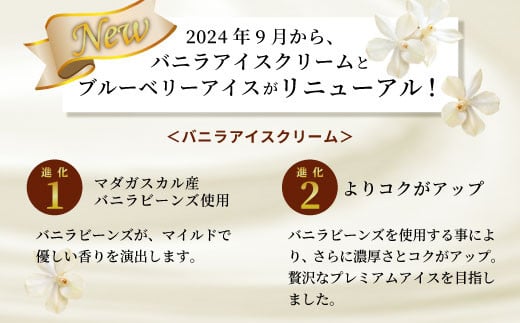 マダガスカル産バニラビーンズ香るバニラアイスクリーム＆いなぶのブルーベリーアイス (80ml)×8個セット バニラ アイスクリーム ブルーベリー バニラアイス 生乳 5000円