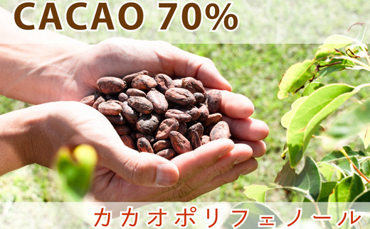 カカオ70％！ポリフェノールたっぷり濃厚ガトーショコラ〈4号〉