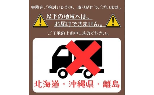 ＜信州中野から朝採りをお届け!＞ぶどう人気2品種食べ比べセット(約4kg)【1508607】