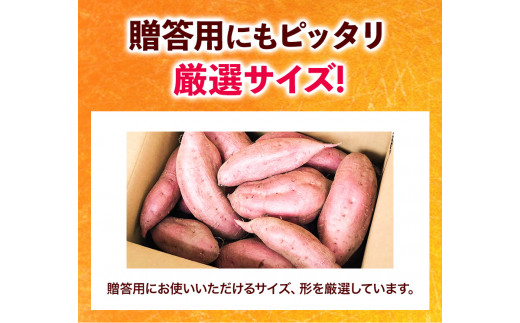 和歌山県のサツマイモ 在来種 厳選サイズ 5kg みはらファーム《12月中旬‐4月下旬頃出荷》和歌山県 日高川町 みはらファーム さつま芋 薩摩芋