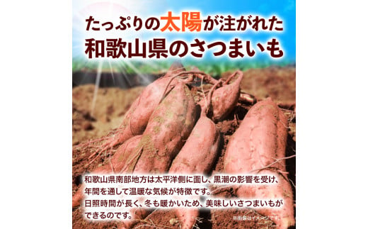 和歌山県のサツマイモ 在来種 厳選サイズ 5kg みはらファーム《12月中旬‐4月下旬頃出荷》和歌山県 日高川町 みはらファーム さつま芋 薩摩芋