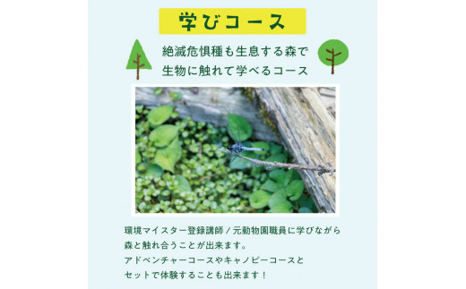 全力で遊び全力で学ぶ！ワンヘルス研修&キャノピーコースセット1名様体験チケット [a0412] 株式会社 FOREST DEN 【返礼品】添田町 ふるさと納税