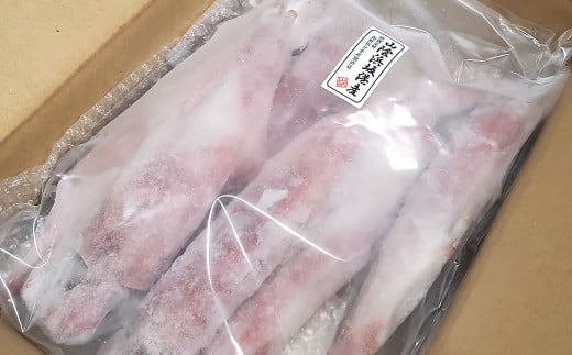 兵庫県新温泉町　白イカ(冷凍)約1.5kg(5-8杯程度入)