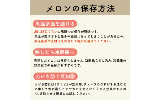 【2024年8月下旬発送】【訳あり】メロン2.5kg程度(赤肉2玉)津軽産