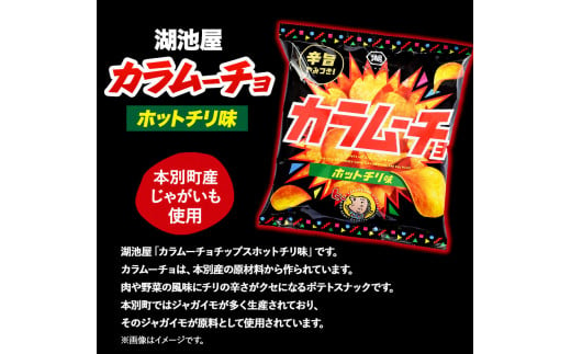 本別産原料使用!コイケヤ カラムーチョチップスホットチリ味 12袋 本別町観光協会 《60日以内に出荷予定(土日祝除く)》北海道 本別町 ポテト ポテトチップス 菓子 スナック スナック菓子 ホットチリ 送料無料