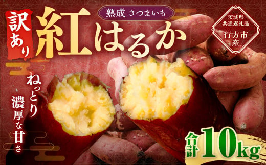 【 訳あり 】“熟成” 茨城県産 さつまいも 【 紅はるか 】 約10kg