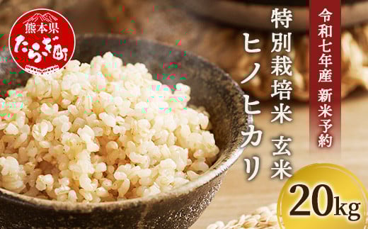 熊本県産ヒノヒカリ 白米20キロ 令和5年度 農家直送 （令和6