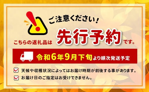 2024年発送 クイーンルージュ®4kg（5～8房）家庭用