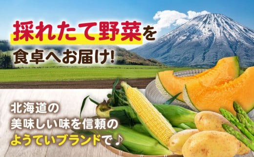 【2025年8月以降順次発送】 赤肉メロン 約1.6kg×2玉 《喜茂別町》【Aコープようてい】 先行予約 数量限定 メロン 赤肉 フルーツ 果物 北海道 産地直送 [AJAK004] 13000 13000円