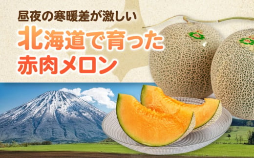  先行予約 数量限定 メロン 赤肉 フルーツ 果物 北海道 産地直送