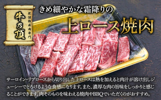 おおいた和牛 上カルビ・上ロース焼肉セット 450g 牛肉 和牛 ブランド牛 黒毛和牛 赤身肉 焼き肉 焼肉 バーベキュー 大分県産 九州産 津久見市 熨斗対応