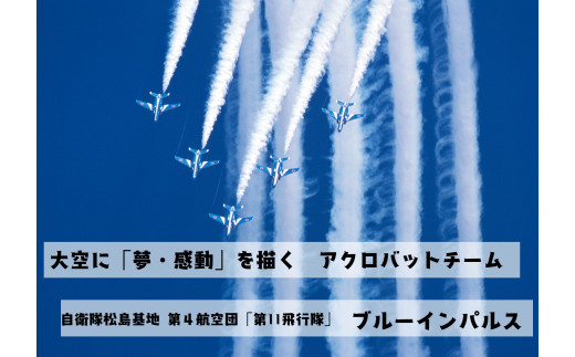 ブルーインパルスピンバッチセット（2個）バッチ ピンバッチ ブルーインパルス  宮城県 東松島市 オンラインワンストップ 対応 自治体マイページ 東松島観光物産公社