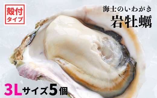 隠岐 サザエ（冷凍） 隠岐の島名産 刺し身 さざえ 隠岐 サザエ（冷凍） 隠岐の島名産 刺し身 さざえ - メルカリ