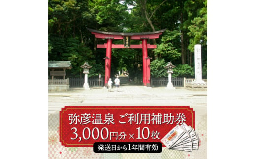 弥彦温泉ご利用補助券　3,000円分＜10枚＞【1296027】